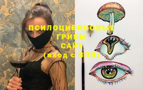 меф Няндома