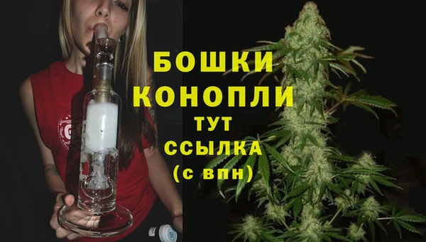 меф Няндома